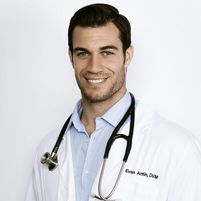 Dr. Evan Antin