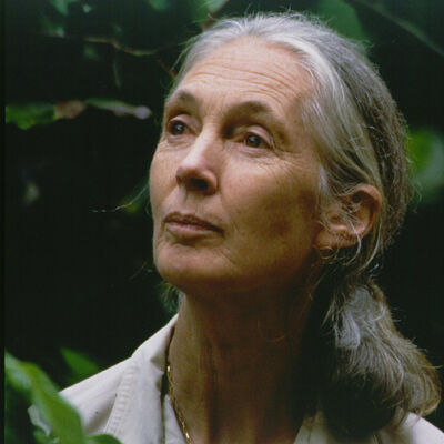 Jane Goodall | Speaking Fee, Booking Agent, & Contact Info | CAA Speakers