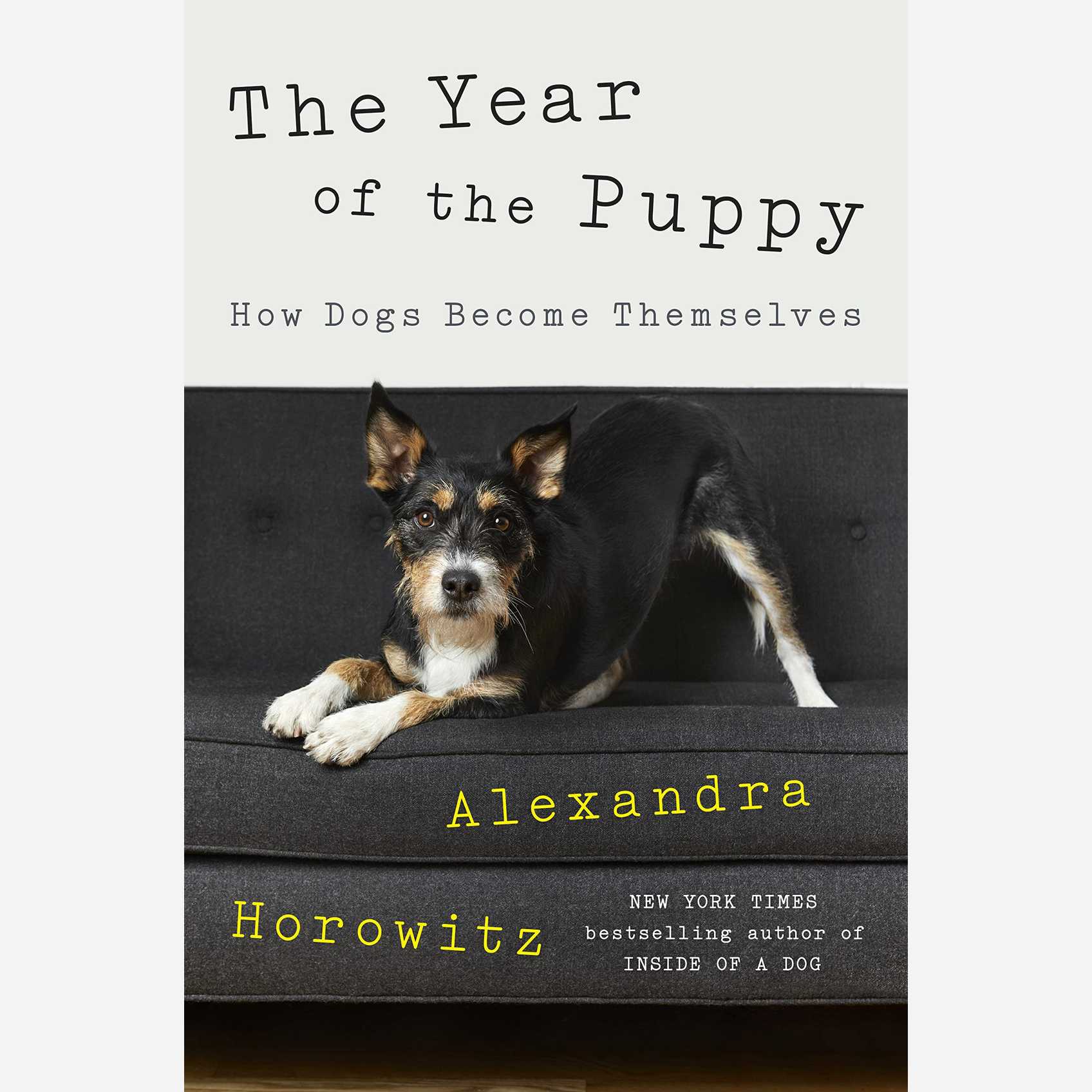 The Year of the Puppy