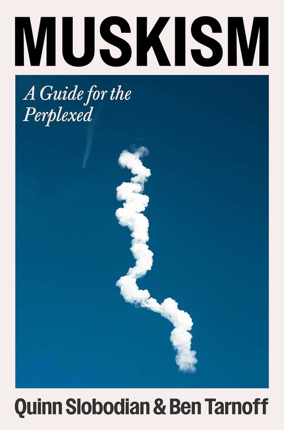 Muskism: The Meaning and Making of a Technoking