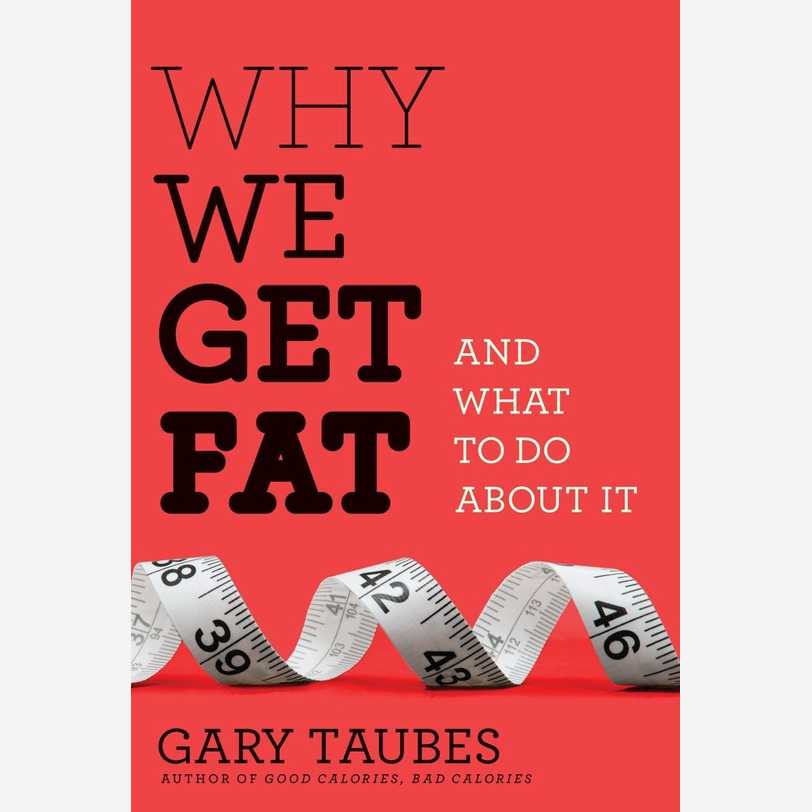 Why We Get Fat: And What to Do About It