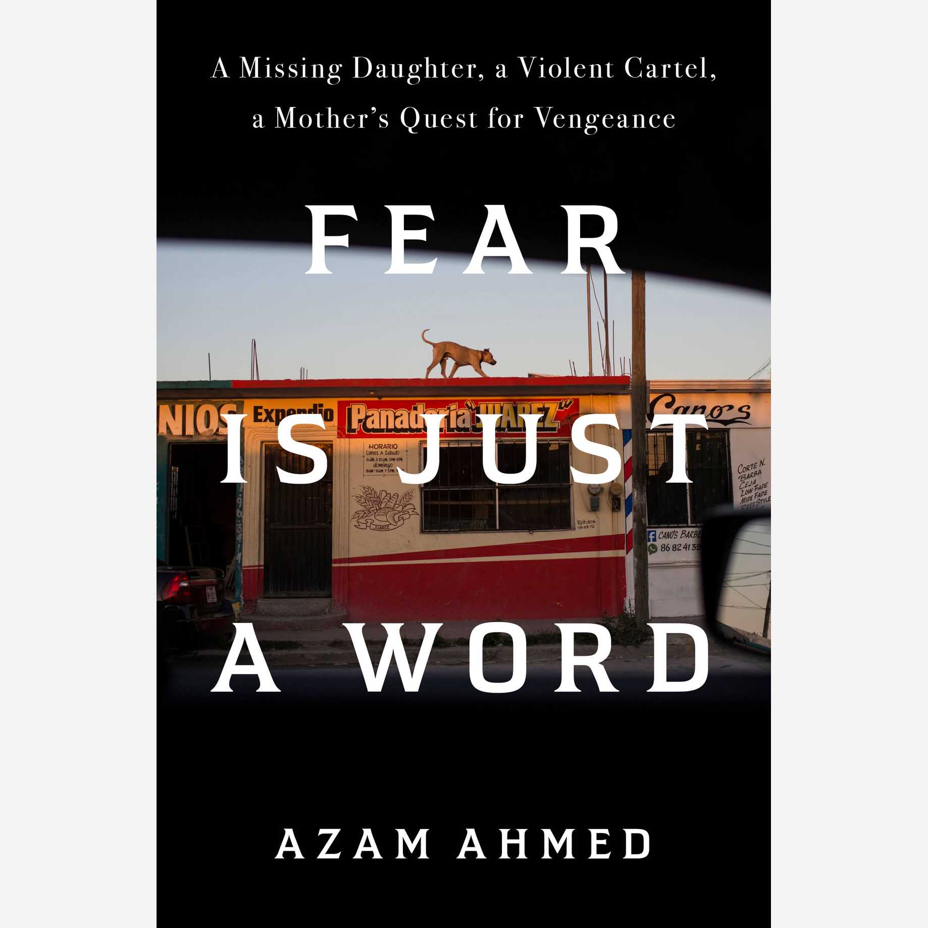 Fear Is Just a Word: A Missing Daughter, A Violent Cartel, A Mother's Quest for Vengeance