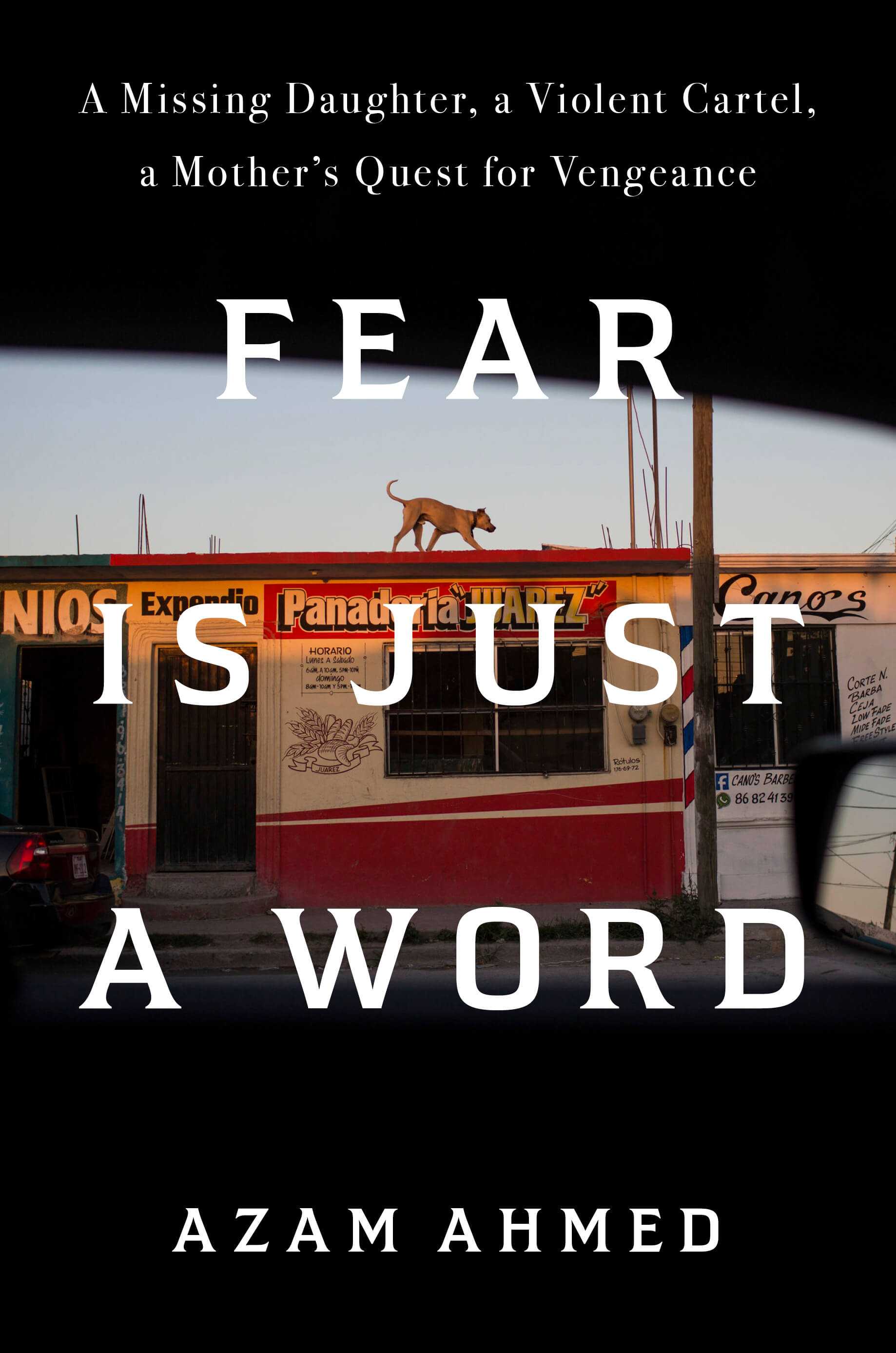 Fear Is Just a Word: A Missing Daughter, A Violent Cartel, A Mother's Quest for Vengeance