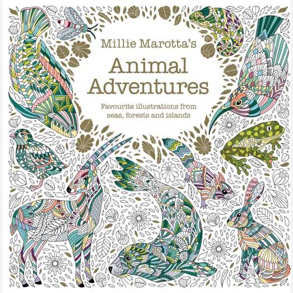 Animal Adventures