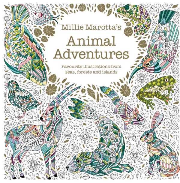 Animal Adventures